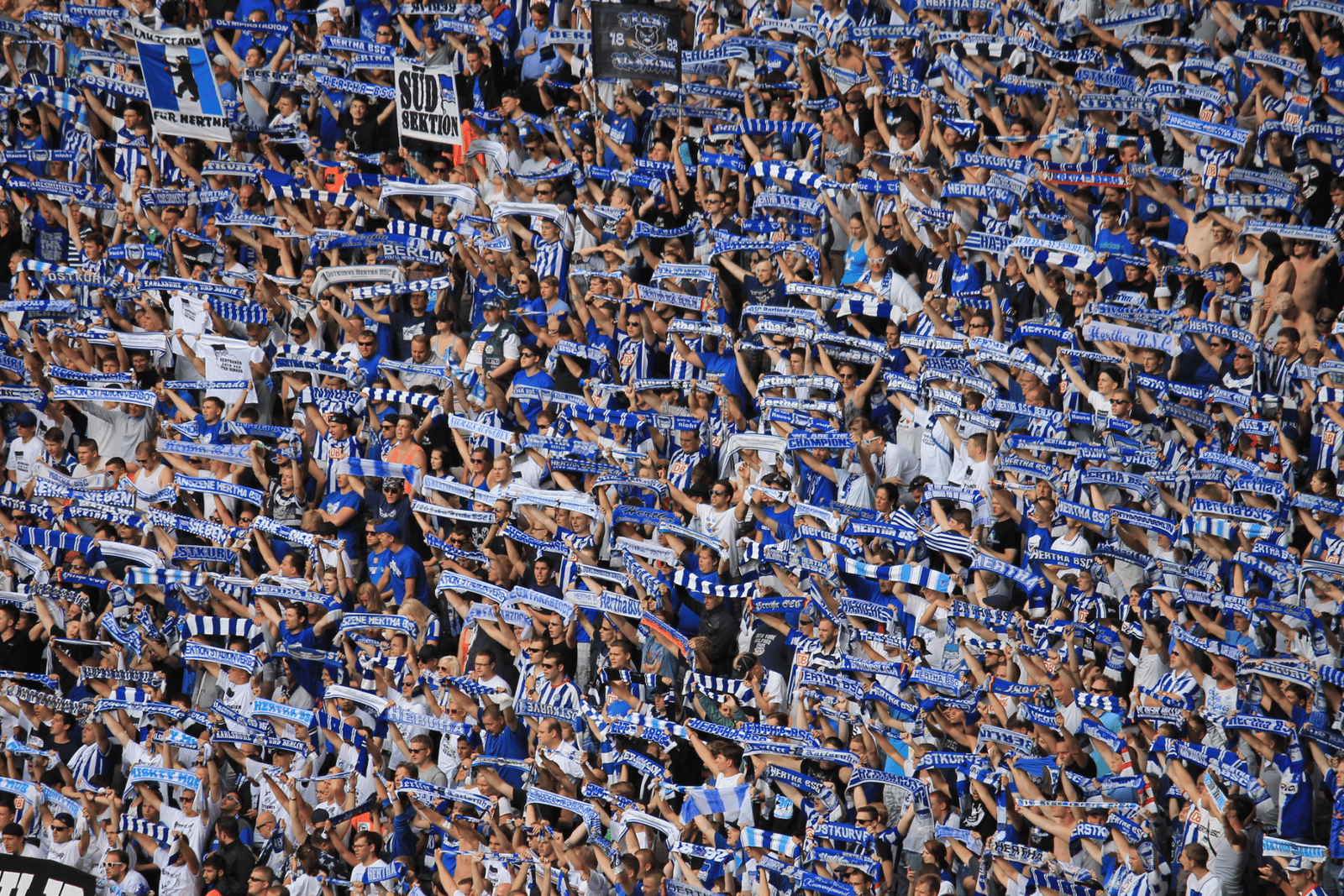 Hertha BSC: Neues Präsidium steht fest -